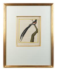 A Set of Four Hand-Colored Engravings After Francois Martinet — 18TH CENTURY