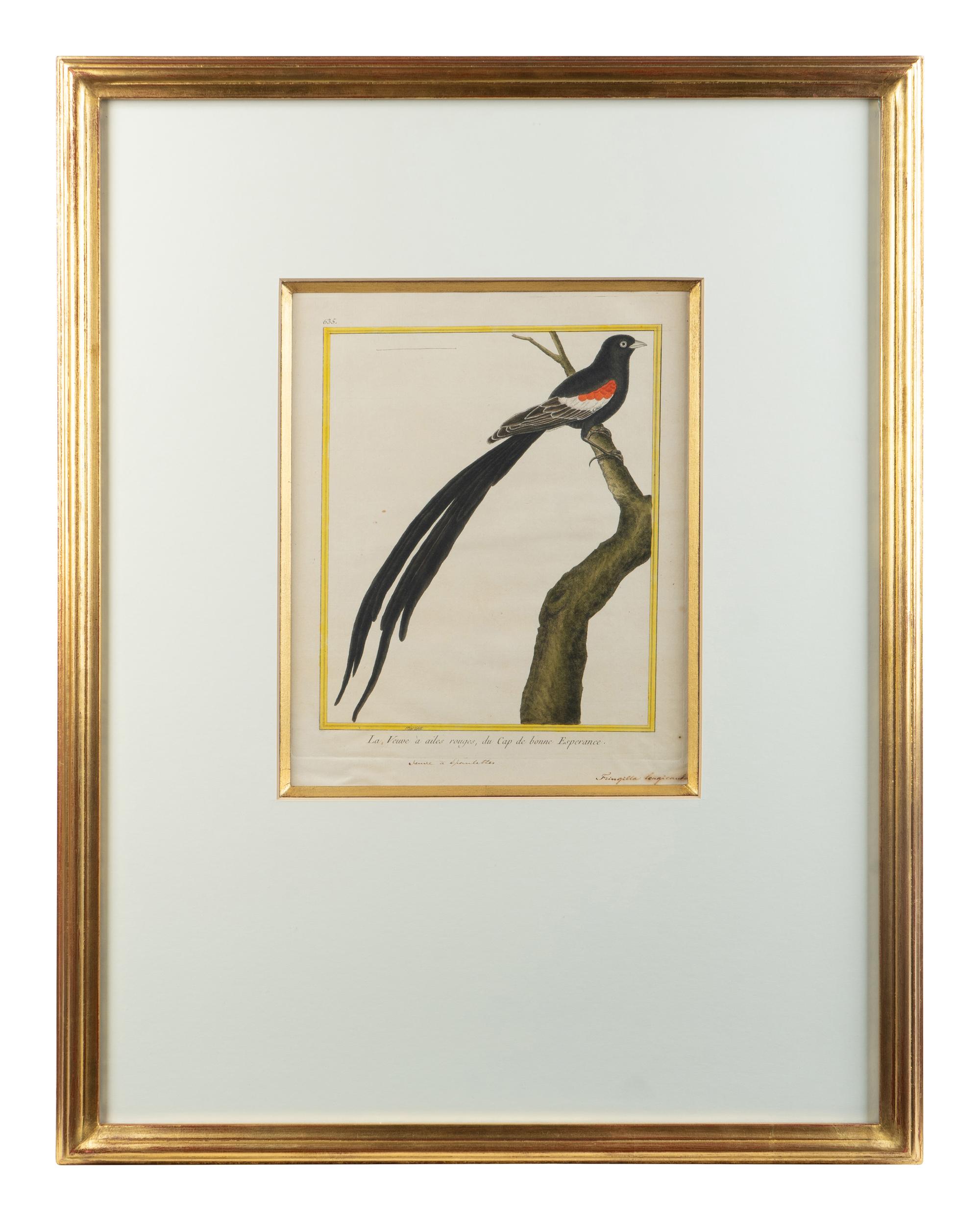 A Set of Four Hand-Colored Engravings After Francois Martinet — 18TH CENTURY