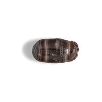 An Etruscan Banded Agate Scarab with Heracles Fighting Kyknos