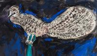 Peafowl