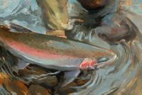 Catch-n-Release