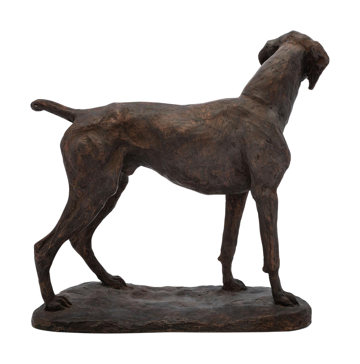Bird Dog