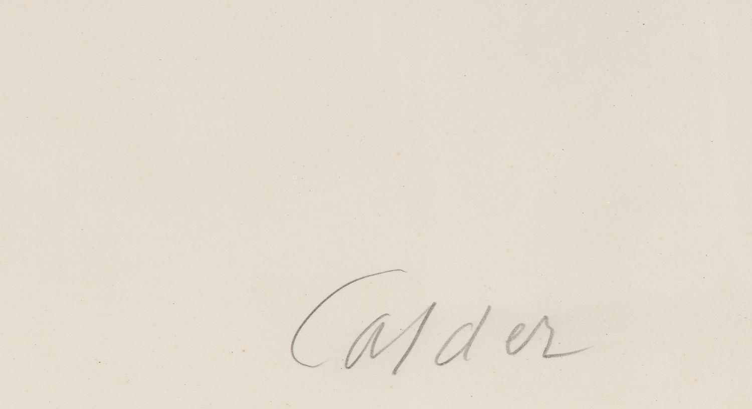 Couleurs enlaces dans le fil de fer, c. 1965