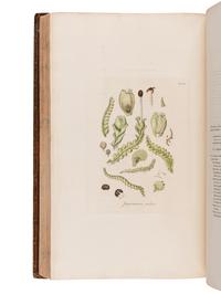 HOOKER, William Jackson, Sir (1785-1865). British Jungermanniae. Being a history and description, with coloured figures, of each species of the genus, and microscopical analyses of the parts. London: Longman, Hurst, Rees, Orme, and Brown, [1812]-1816.