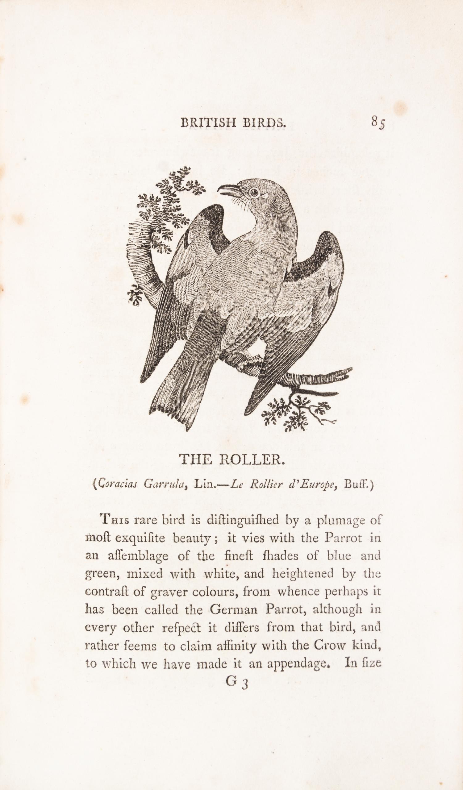 BEWICK, THOMAS. A History of British Birds. Newcastle, 1797-1804. 2 vols.
