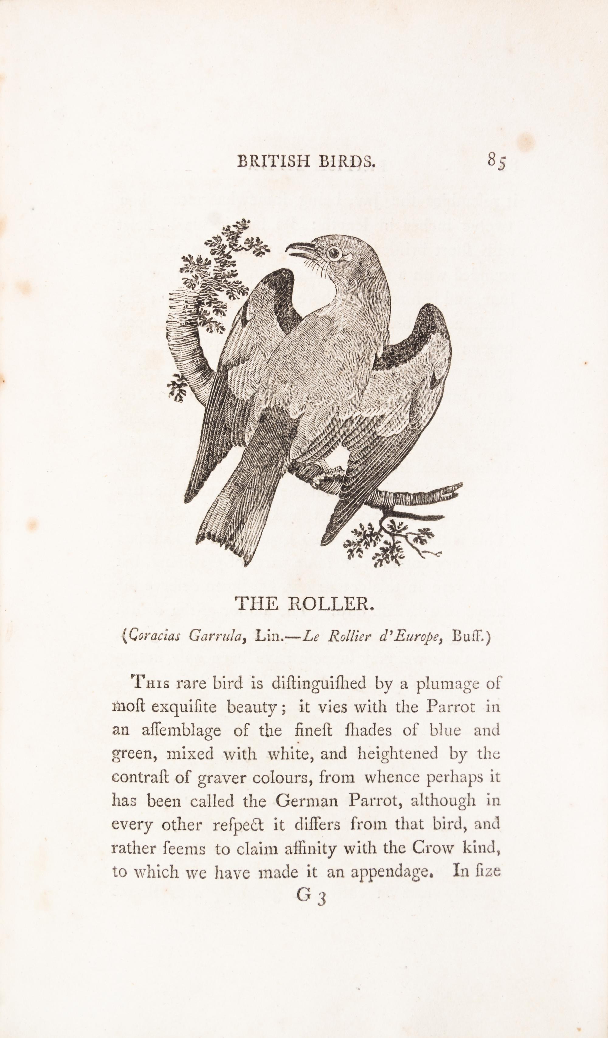 BEWICK, THOMAS. A History of British Birds. Newcastle, 1797-1804. 2 vols.