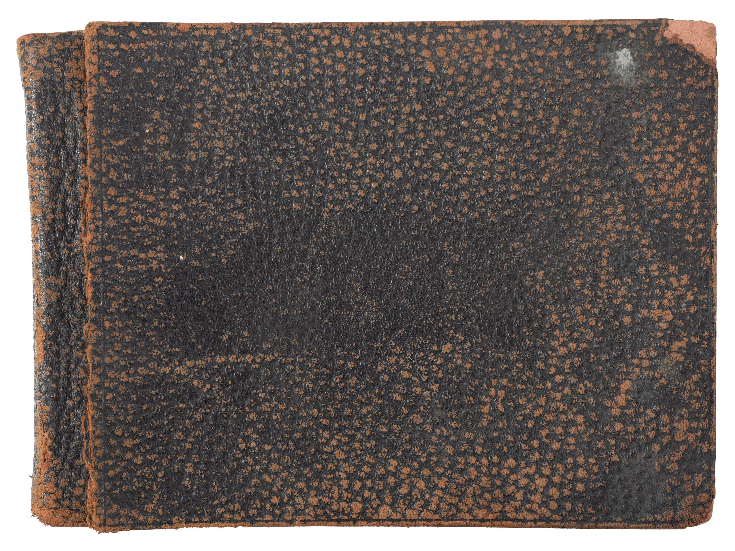 [EARLY PHOTOGRAPHY - OCCUPATIONAL]. American Timber Holding Co. photograph album featuring images from the Pacific Northwest, including: