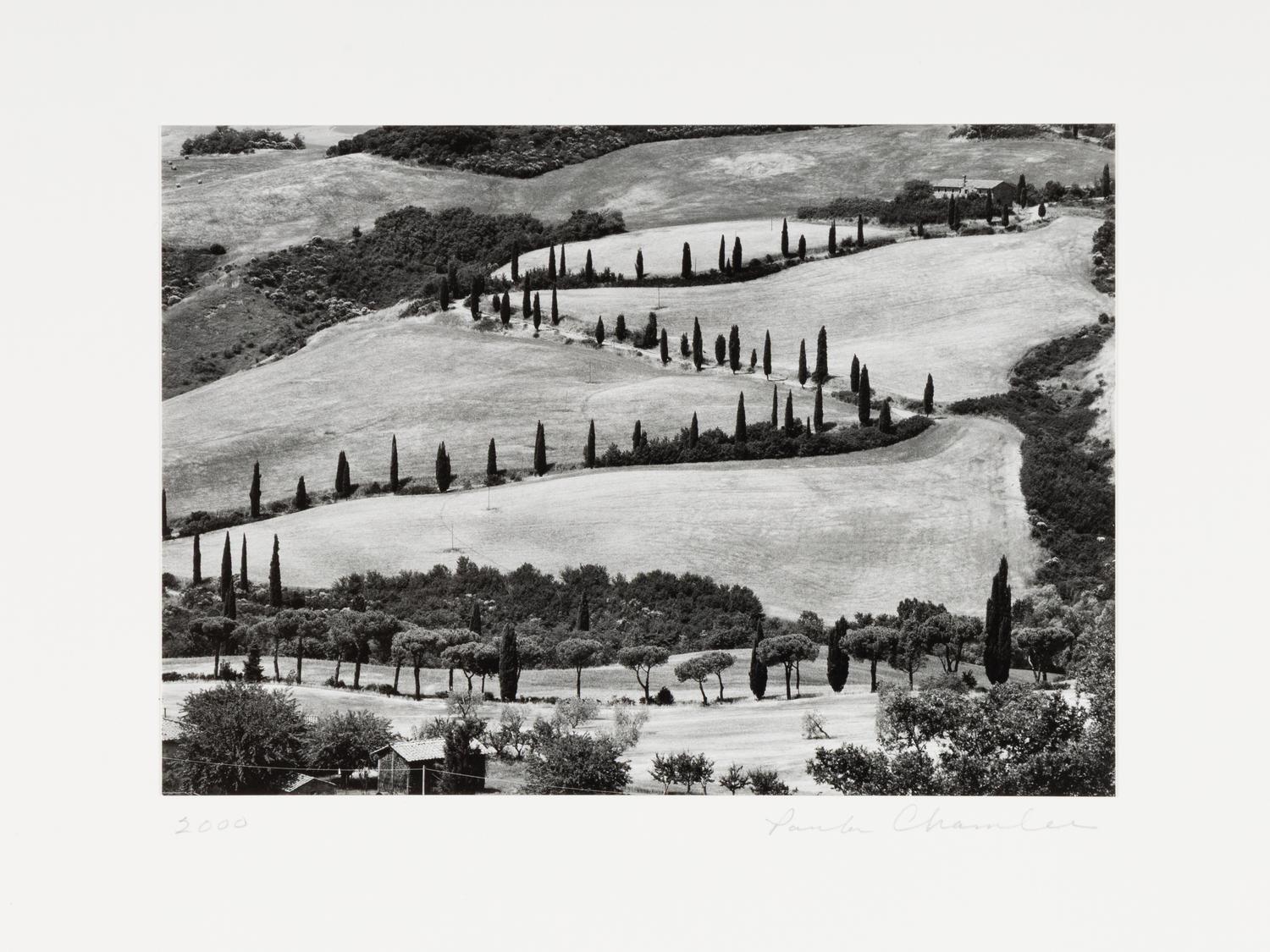 La Foce, Tuscany and Nude Collage #4 (two works)