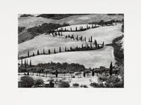La Foce, Tuscany and Nude Collage #4 (two works)