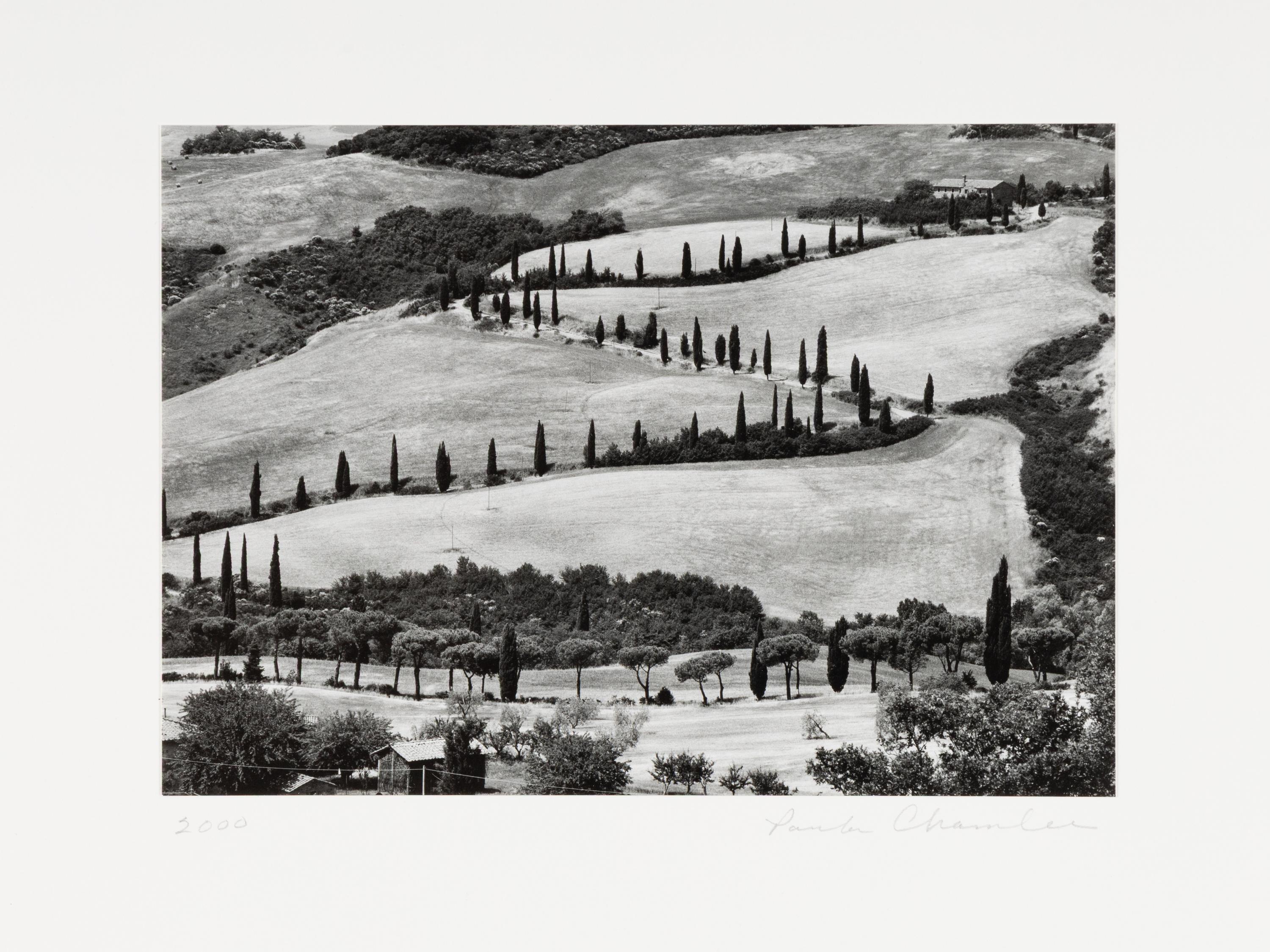 La Foce, Tuscany and Nude Collage #4 (two works)