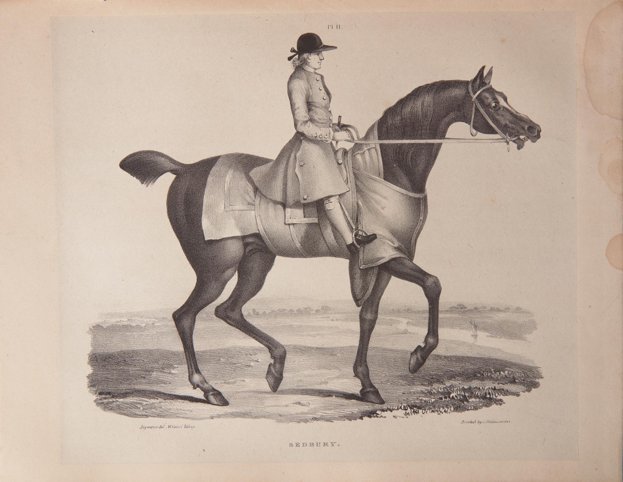[Sporting] (Broadhurst, J., and George Stubbs). A Comparative View of the Form and Character of the English Racer and Saddle-Horse During the Last and Present Centuries