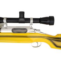 * Kelbly Stolle Panda Action Bench Rifle with Leupold BR-36x Scope