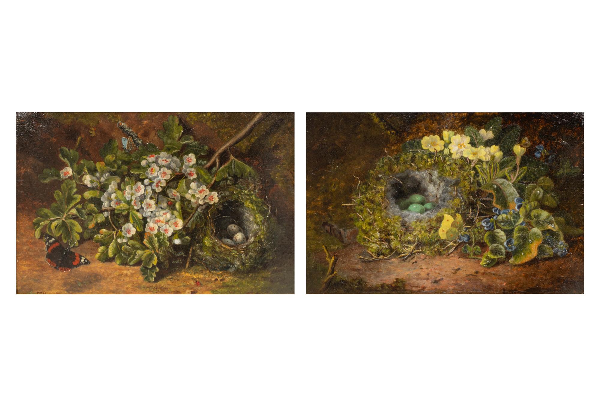 Nests among Wild Flowers (a pair)