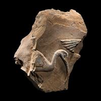 An Egyptian Painted Limestone Relief Fragment with the Head of an Ibis