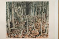 Deer , 1982-83