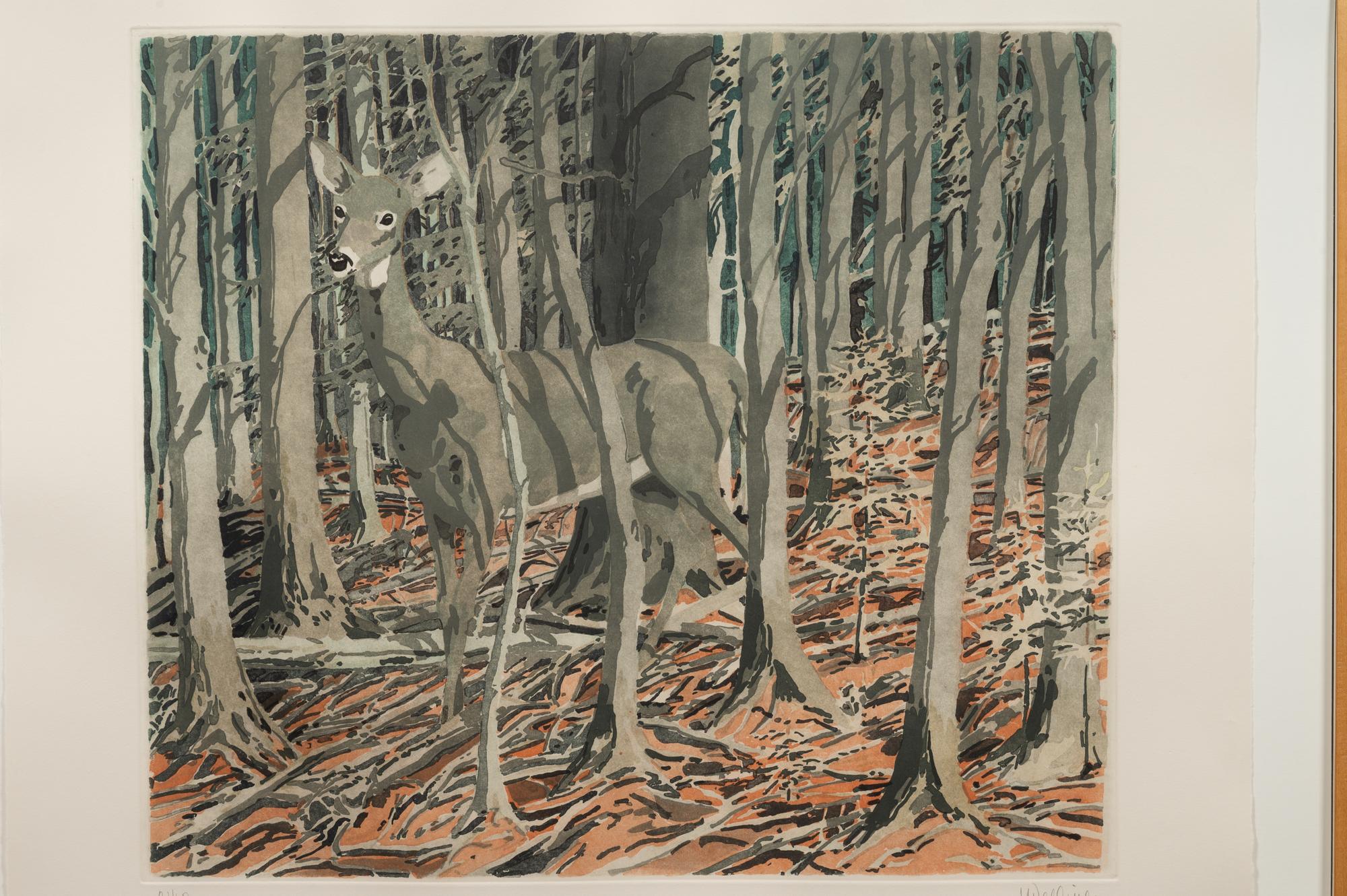 Deer , 1982-83