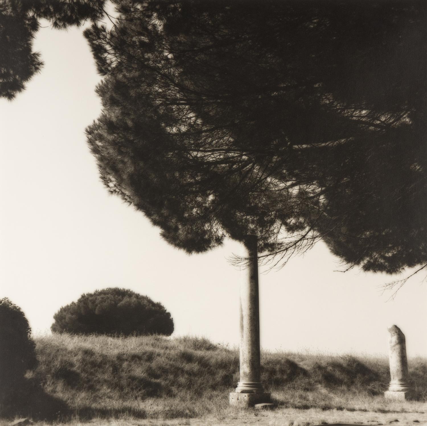 Topiaries and Planter, Knightshayes Court, Devon, England , 1991; Tree and Column, Ostia Antiqua, Italy , 1990; and Tree and Hedge, Villa Gamberaia, Settignano, Italy , 1990 (Three Works)