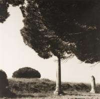 Topiaries and Planter, Knightshayes Court, Devon, England , 1991; Tree and Column, Ostia Antiqua, Italy , 1990; and Tree and Hedge, Villa Gamberaia, Settignano, Italy , 1990 (Three Works)