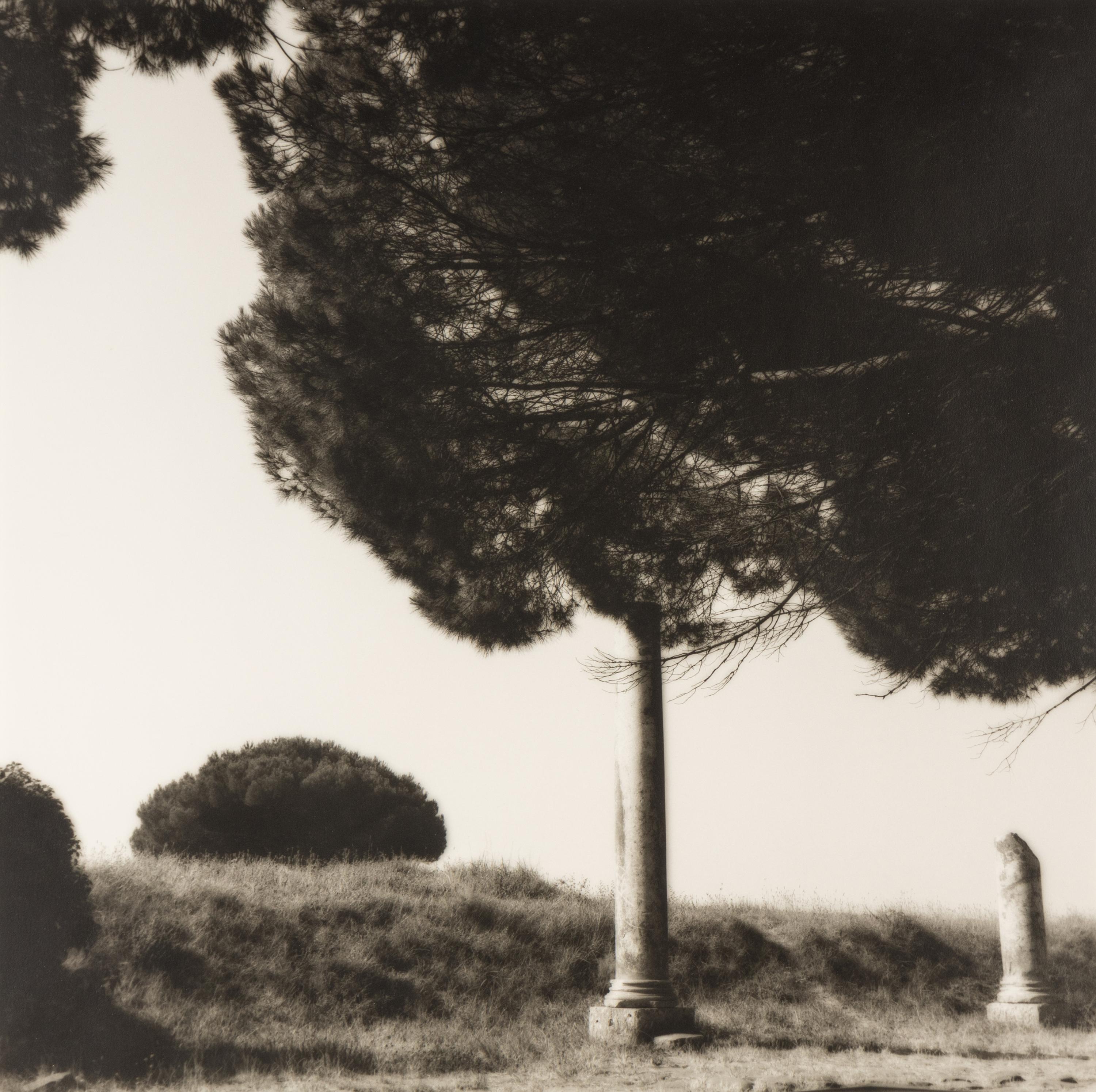 Topiaries and Planter, Knightshayes Court, Devon, England , 1991; Tree and Column, Ostia Antiqua, Italy , 1990; and Tree and Hedge, Villa Gamberaia, Settignano, Italy , 1990 (Three Works)