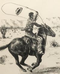 The Maverick