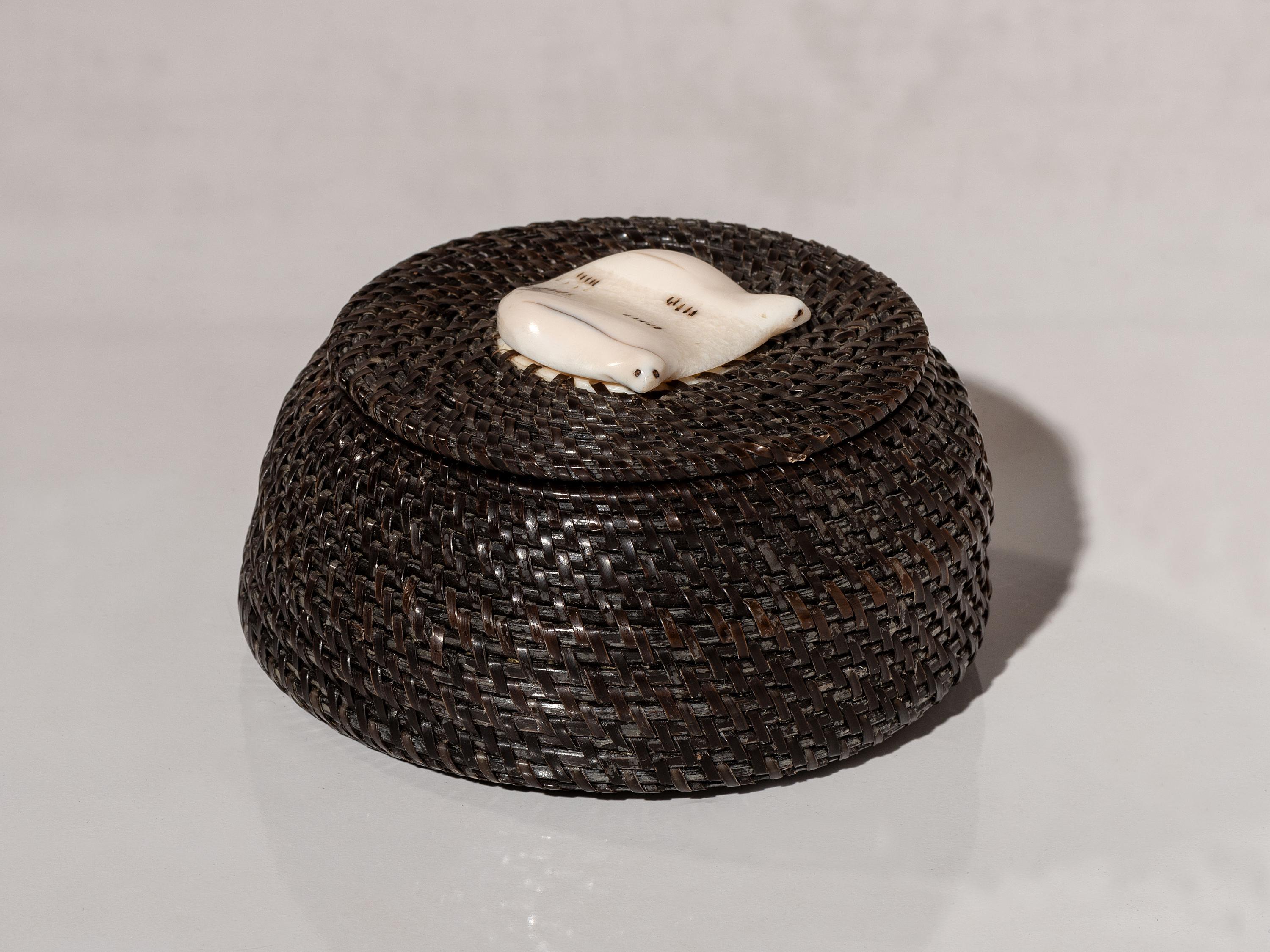Baleen Basket