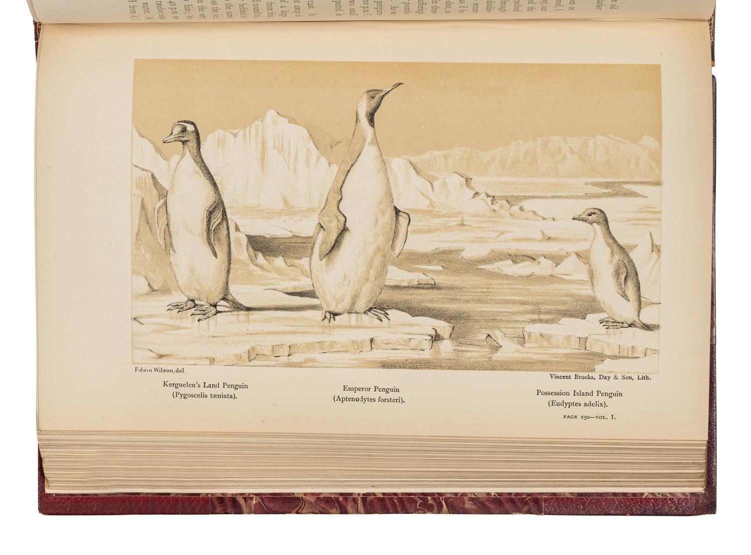 McCORMICK, Robert (1800-1890). Voyages of Discovery in the Arctic and Antarctic Seas, and Round the World: Being the Personal Narratives of Attempts to Reach the North and South Poles; And of an Open-Boat Expedition up the Wellington Channel in Search of Sir John Franklin and Her Majesty's Ships "Erebus" and "Terror," in Her Majesty's Boat "Forlorn Hope." London: Sampson Low, Marston, Searle, and Rivington, 1884.