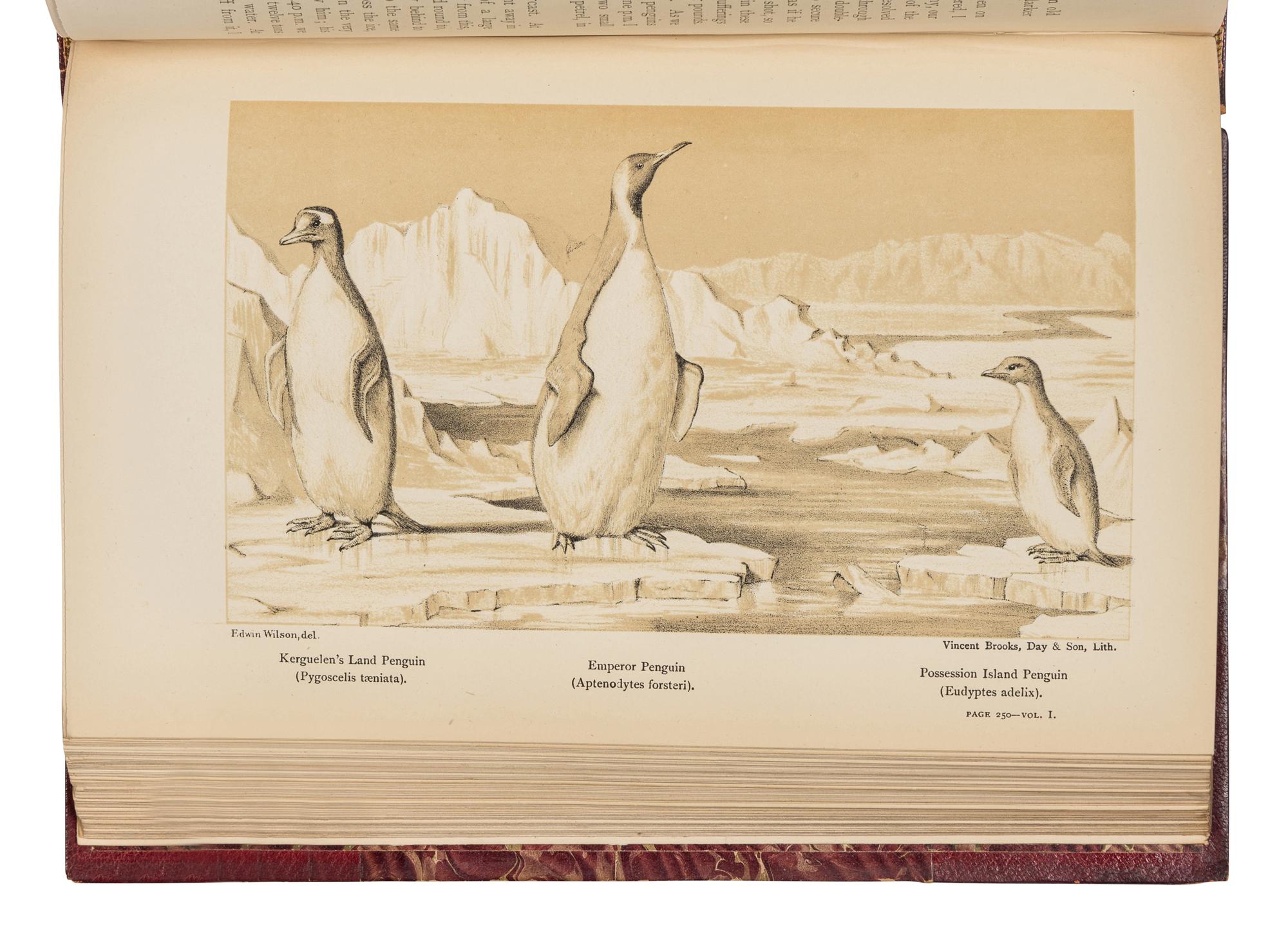 McCORMICK, Robert (1800-1890). Voyages of Discovery in the Arctic and Antarctic Seas, and Round the World: Being the Personal Narratives of Attempts to Reach the North and South Poles; And of an Open-Boat Expedition up the Wellington Channel in Search of Sir John Franklin and Her Majesty's Ships "Erebus" and "Terror," in Her Majesty's Boat "Forlorn Hope." London: Sampson Low, Marston, Searle, and Rivington, 1884.