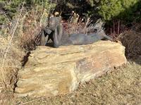 Reclined Nude