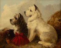 Waiting for their Master