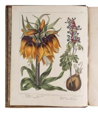 [NATURAL HISTORY]. [DICKSON, R. W. (fl. 1799-1815)]. A Complete Dictionary of Practical Gardening…by Alexander McDonald, Gardener . London: R. Taylor and Co. for George Kearsley, [1805-]1807.
