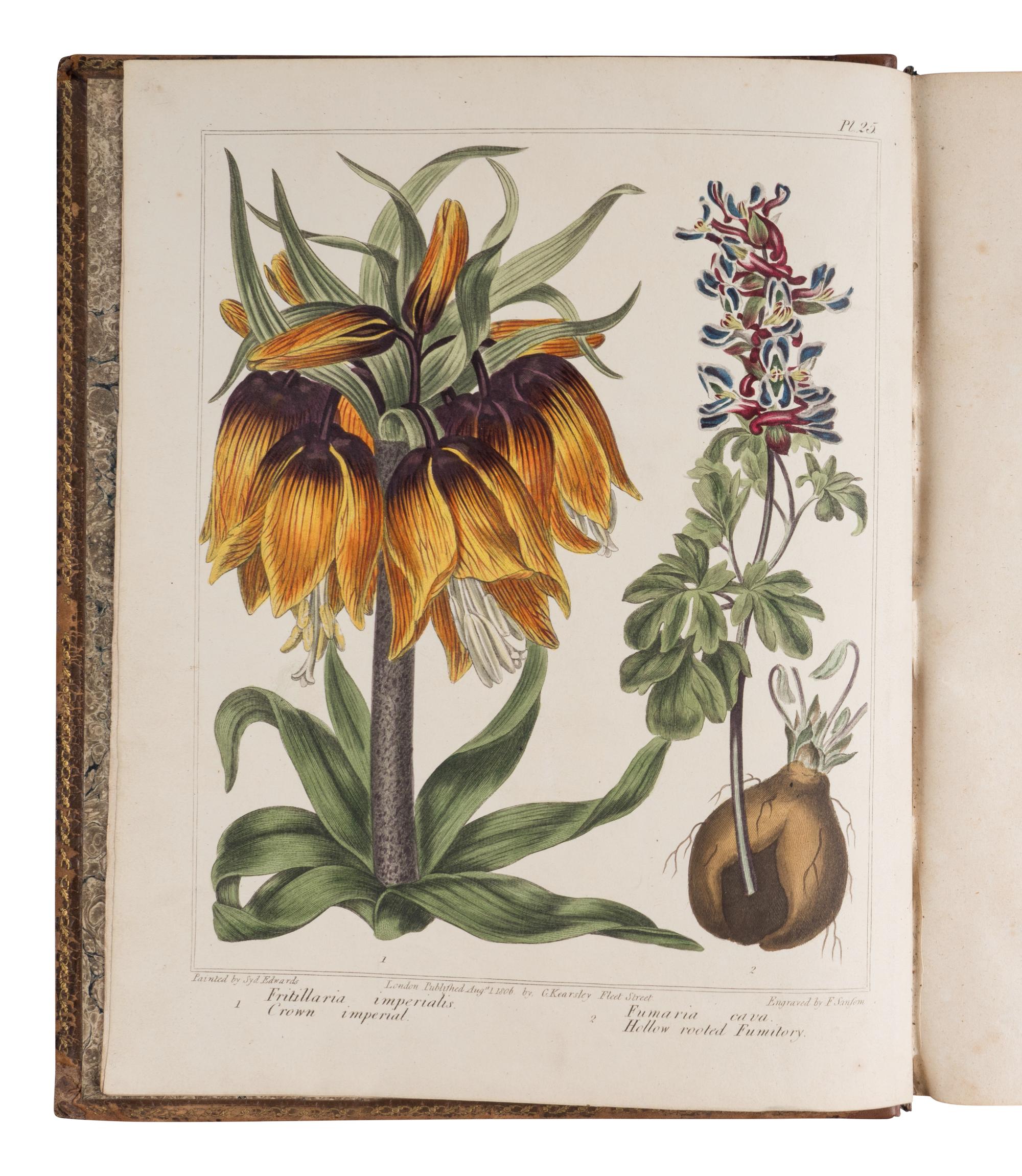 [NATURAL HISTORY]. [DICKSON, R. W. (fl. 1799-1815)]. A Complete Dictionary of Practical Gardening…by Alexander McDonald, Gardener . London: R. Taylor and Co. for George Kearsley, [1805-]1807.