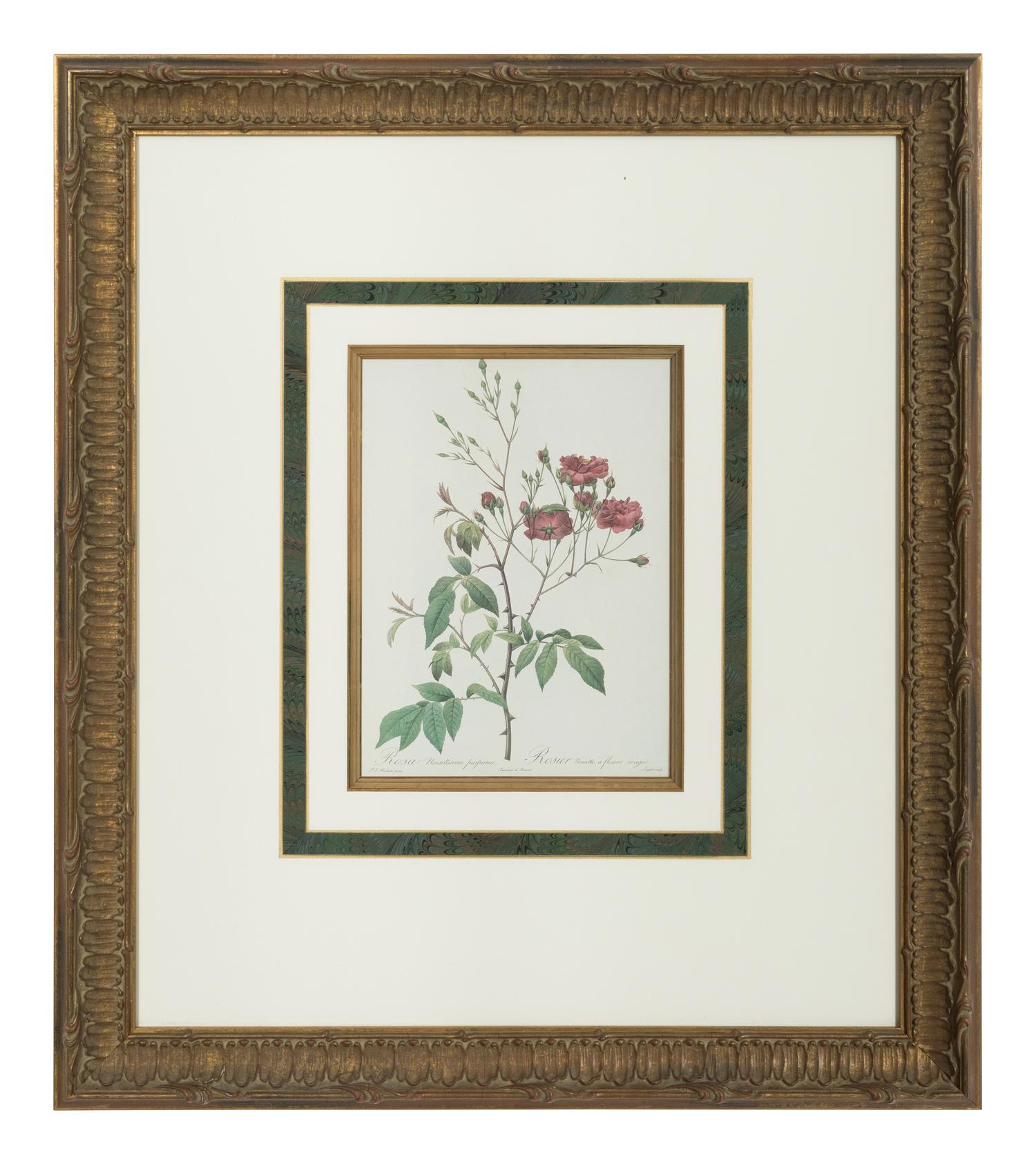 A Set of Six Chromolithographs of Roses after Pierre Joseph Redouté