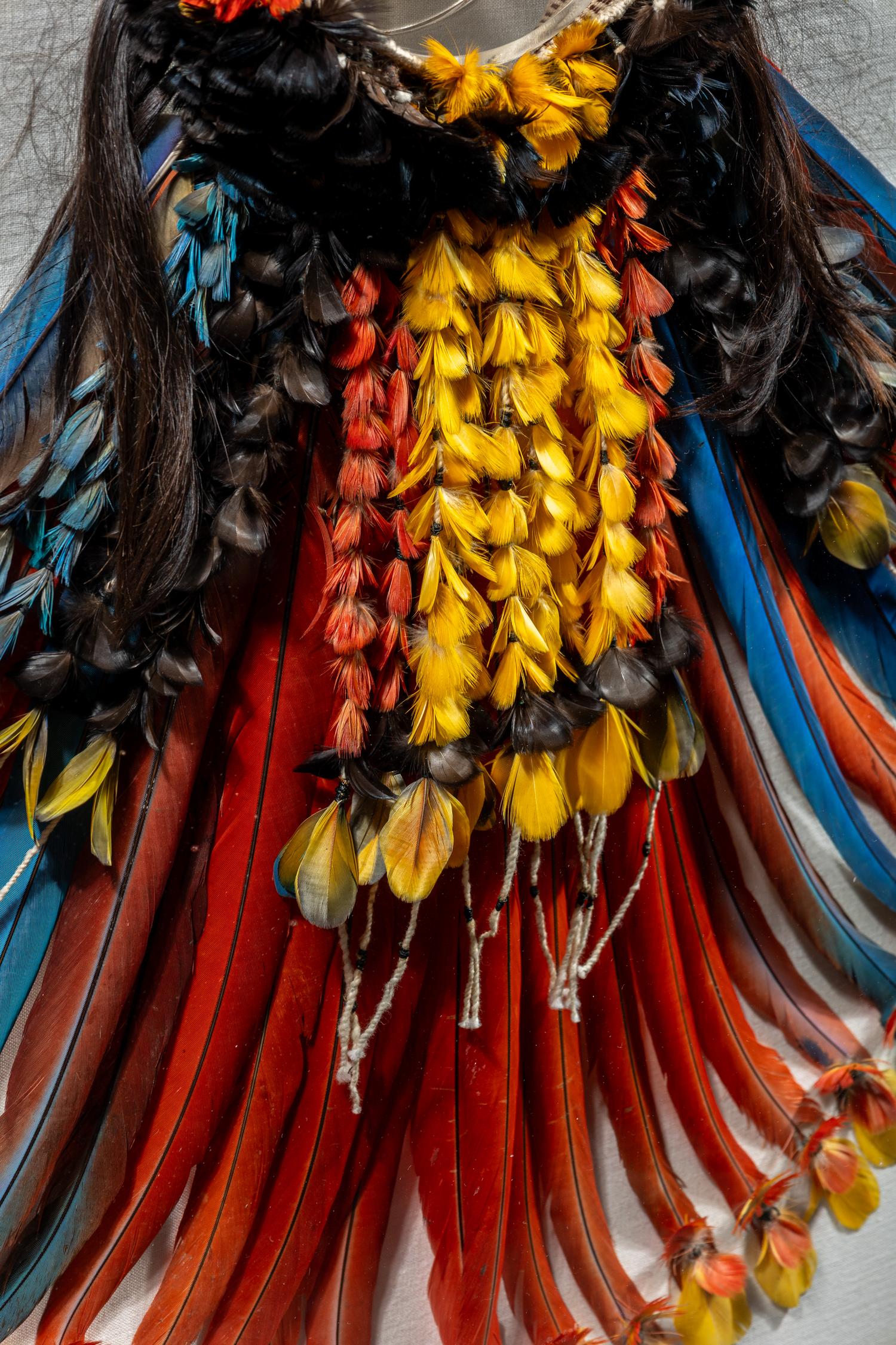A Kayapo or Rikbaktsa Feather Headdress