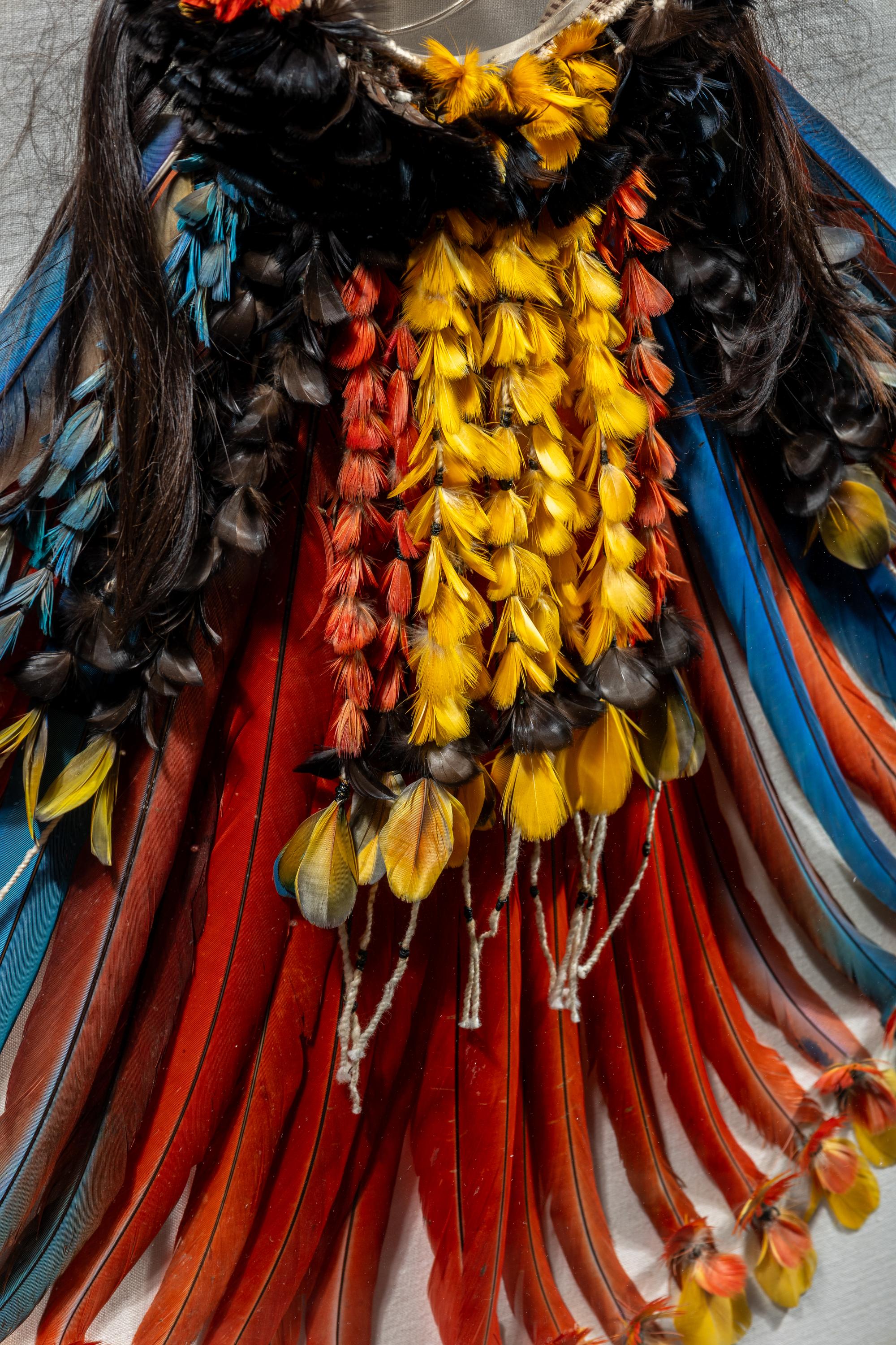 A Kayapo or Rikbaktsa Feather Headdress