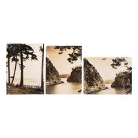 [WESTERN AMERICANA - EARLY PHOTOGRAPHY]. A group of albumen and silver gelatin photographs of the Pacific Northwest and other Western areas, including: