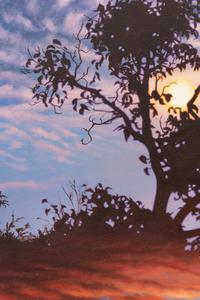 Transparent Barricades: Sunset and Moonrise