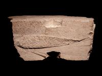 A Tarantine Limestone Column Capital and Base Pilaster
