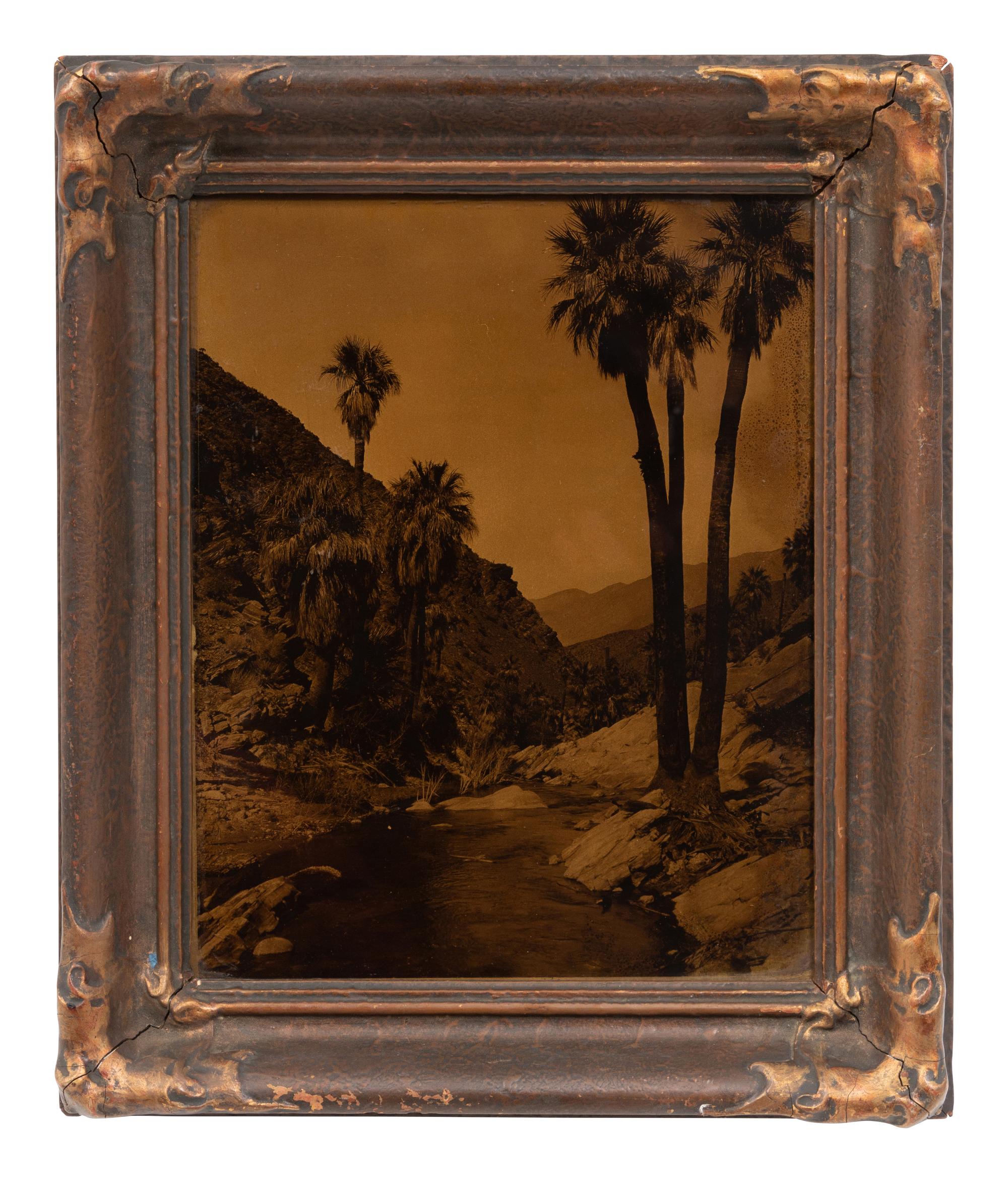 A California Orotone