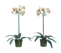 A Pair of Painted Tole Models of Amaryllis