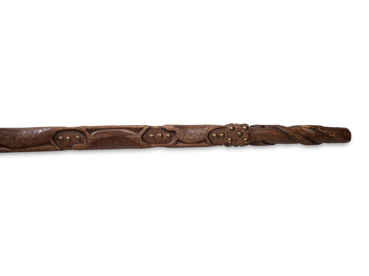 Northeastern Turtle Cane