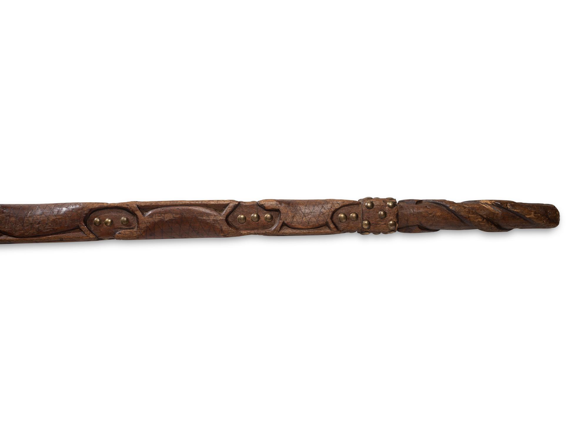 Northeastern Turtle Cane