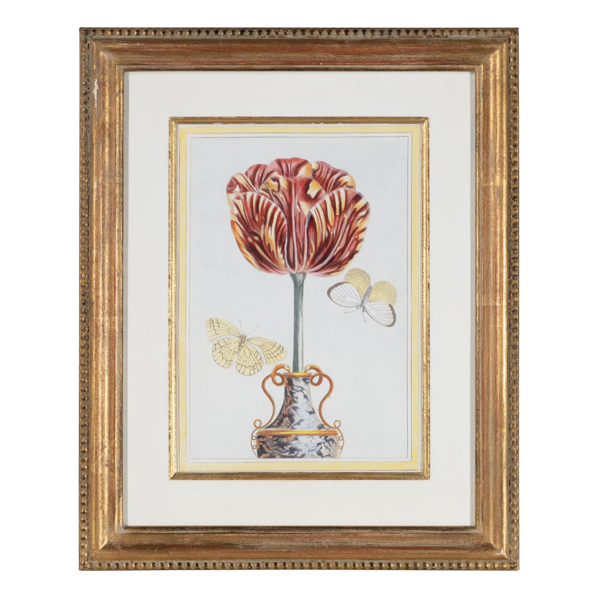 A Set of Four Botanical Prints