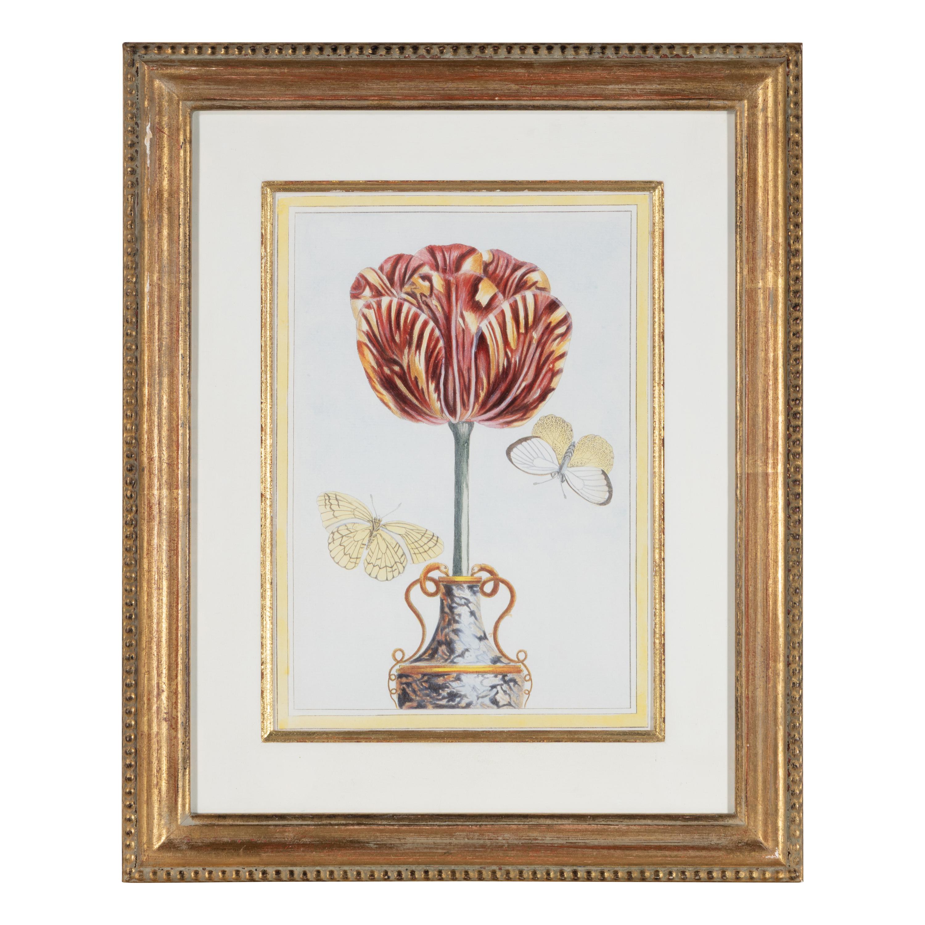 A Set of Four Botanical Prints