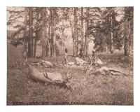 [WESTERN AMERICANA]. HUFFMAN, L.A., photog. 3 collotypes of western subjects, incl. A Killing of Elk .