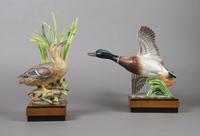 A Pair of Royal Worcester Birds, Mallards, Height 11 1/2 inches