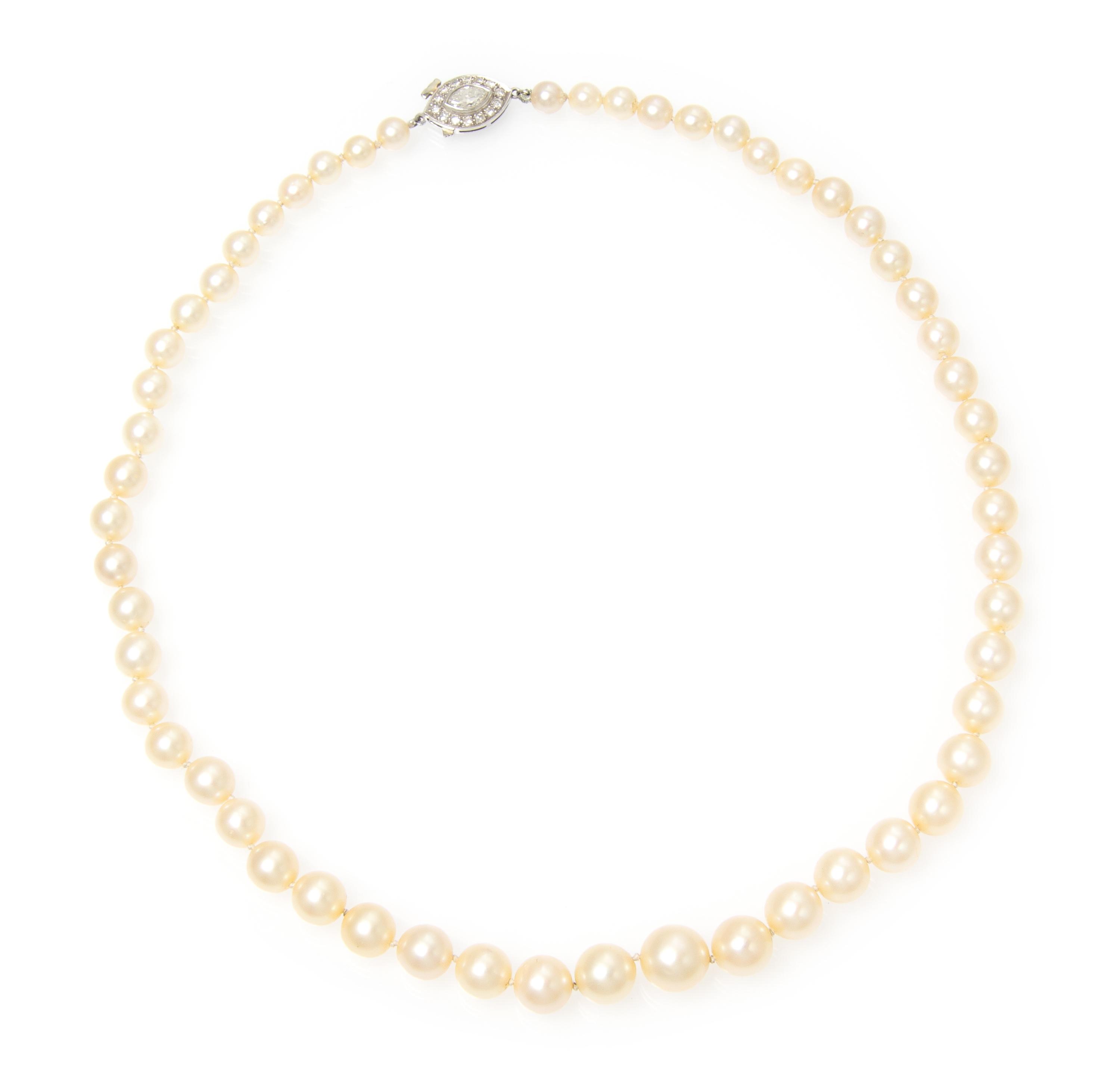 A Graduated Single Strand Cultured Pearl Necklace,