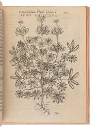 CORNUT, Jacques-Philippe (1606-1651). Canadensium Plantarum Historia Enchiridion Botanicum . Paris: Simonem Le Moyne, 1635.