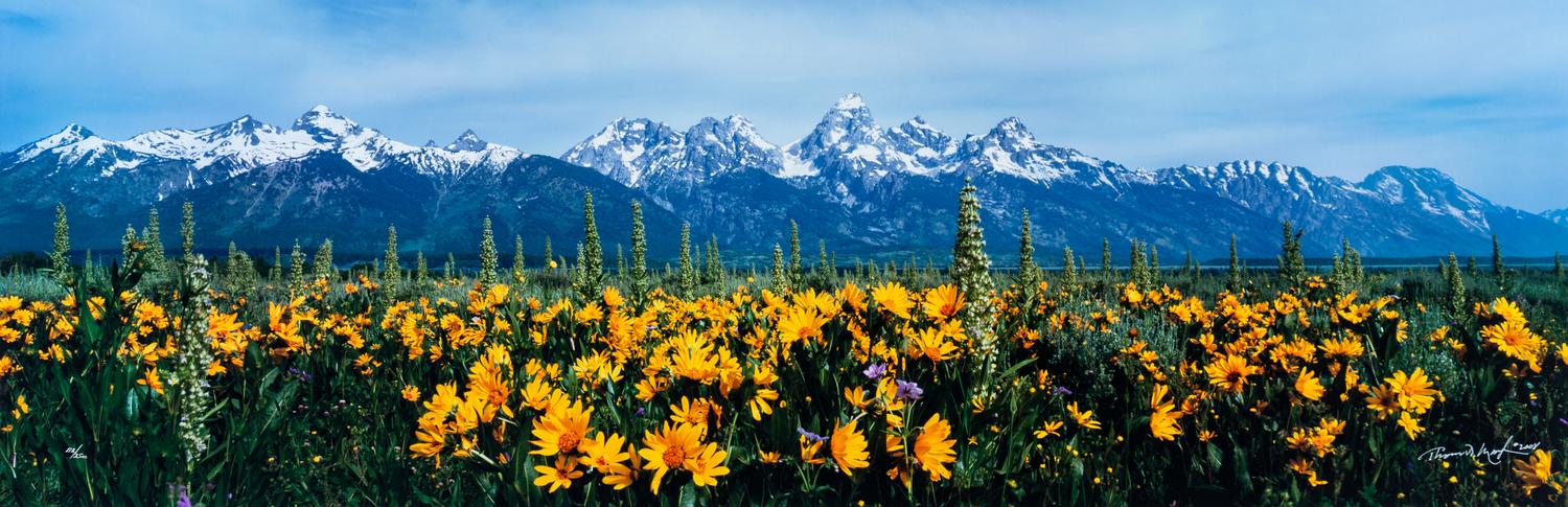 Summer's Peak , edition 112/2500