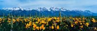Summer's Peak , edition 112/2500