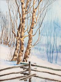Trees in Snow